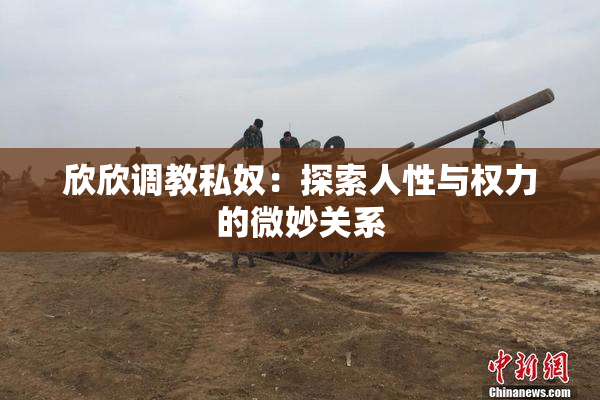 欣欣调教私奴：探索人性与权力的微妙关系