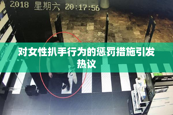 对女性扒手行为的惩罚措施引发热议