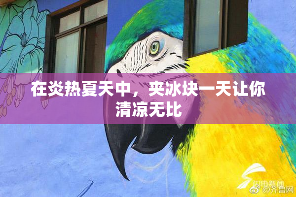 在炎热夏天中，夹冰块一天让你清凉无比