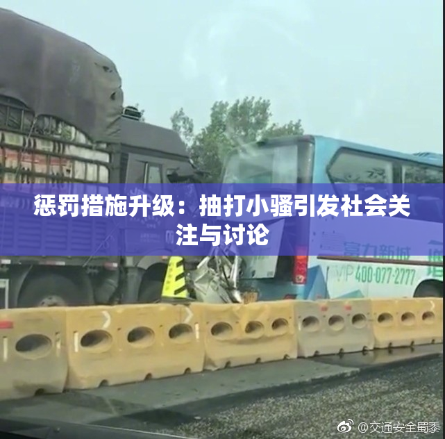 惩罚措施升级：抽打小骚引发社会关注与讨论