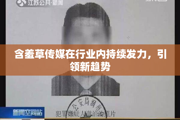 含羞草传媒在行业内持续发力，引领新趋势