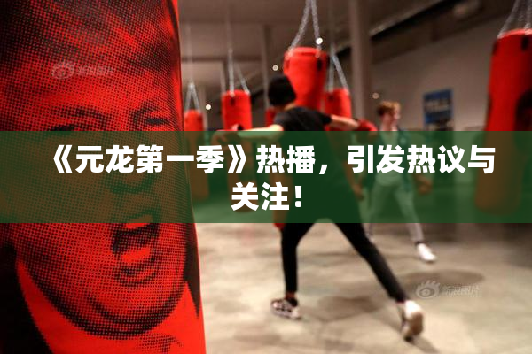 《元龙第一季》热播，引发热议与关注！