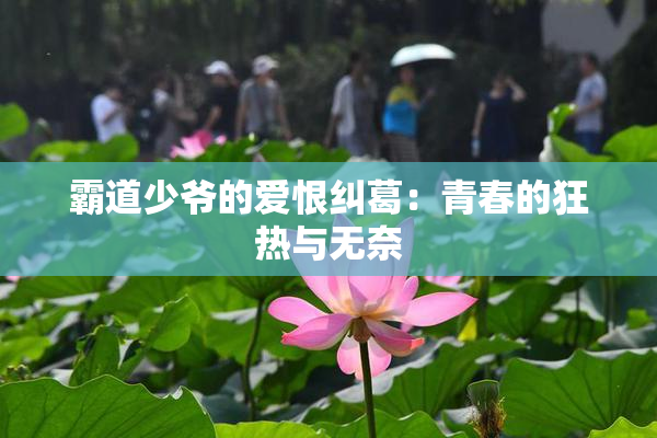 霸道少爷的爱恨纠葛：青春的狂热与无奈