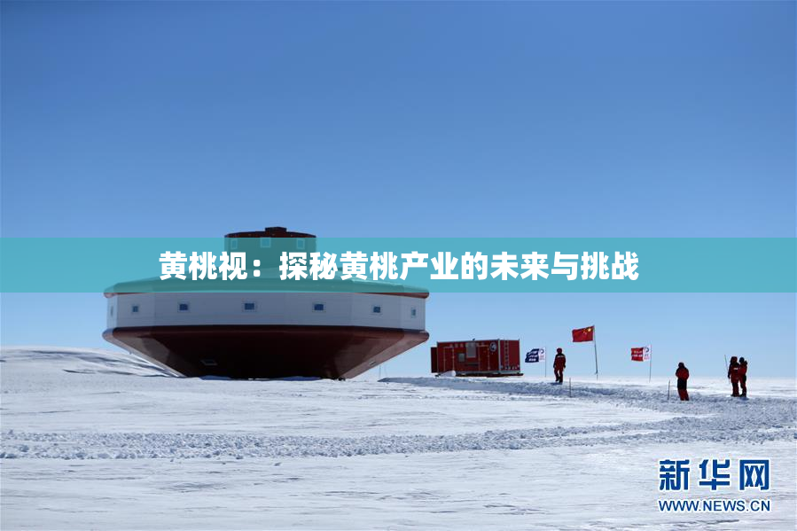 黄桃视：探秘黄桃产业的未来与挑战