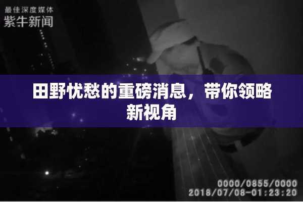 田野忧愁的重磅消息，带你领略新视角