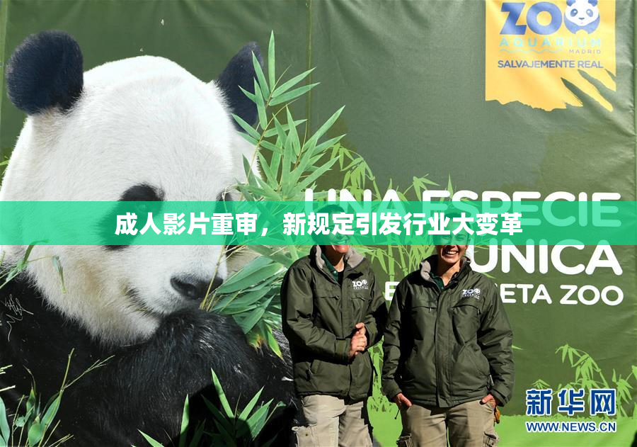 成人影片重审，新规定引发行业大变革