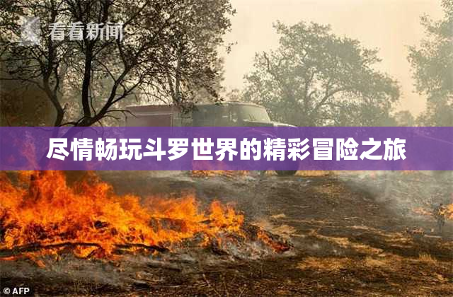 尽情畅玩斗罗世界的精彩冒险之旅