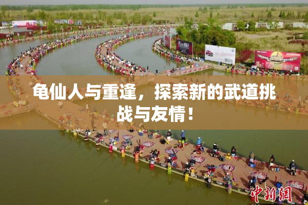 龟仙人与重逢，探索新的武道挑战与友情！