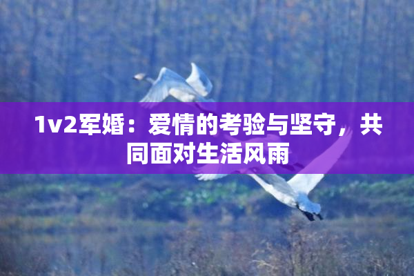 1v2军婚：爱情的考验与坚守，共同面对生活风雨