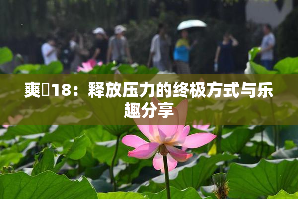 爽擼18：释放压力的终极方式与乐趣分享