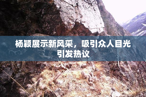杨颖展示新风采，吸引众人目光引发热议