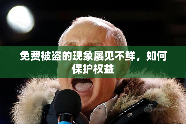 免费被盗的现象屡见不鲜，如何保护权益