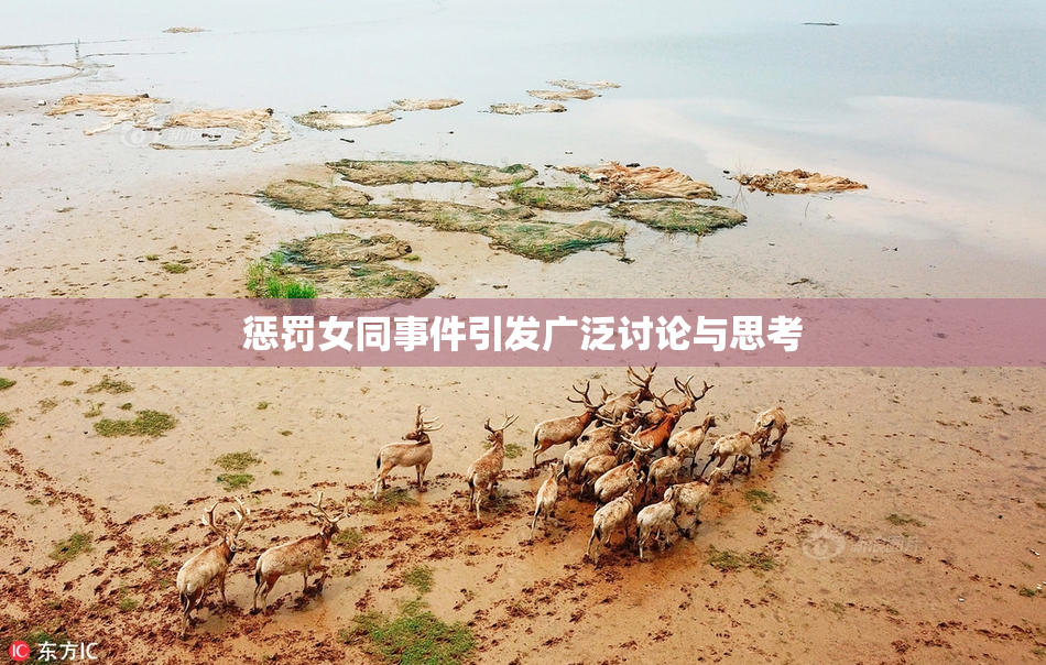 惩罚女同事件引发广泛讨论与思考
