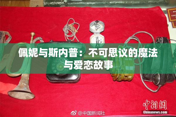 佩妮与斯内普：不可思议的魔法与爱恋故事