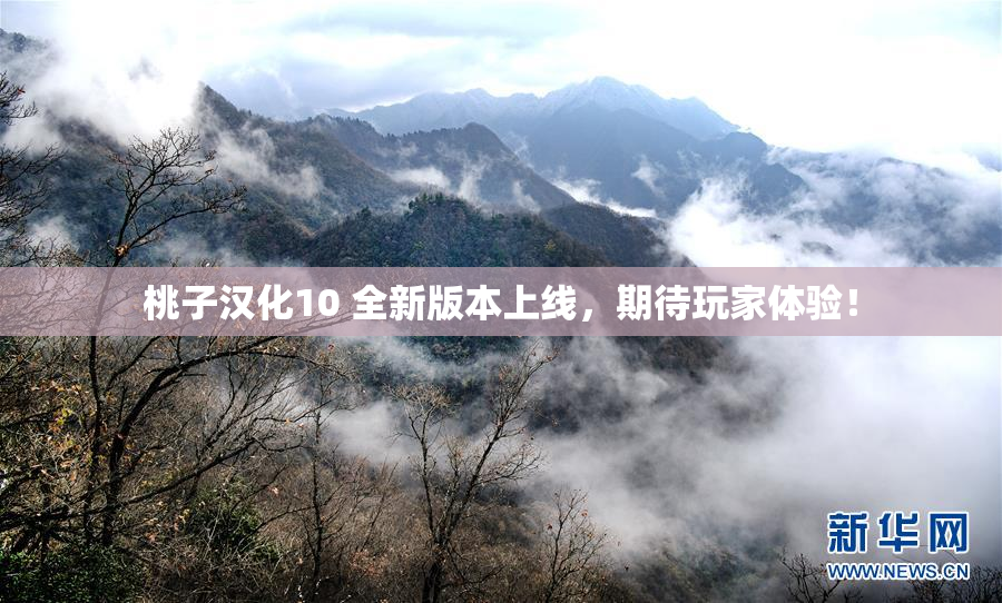 桃子汉化10 全新版本上线，期待玩家体验！