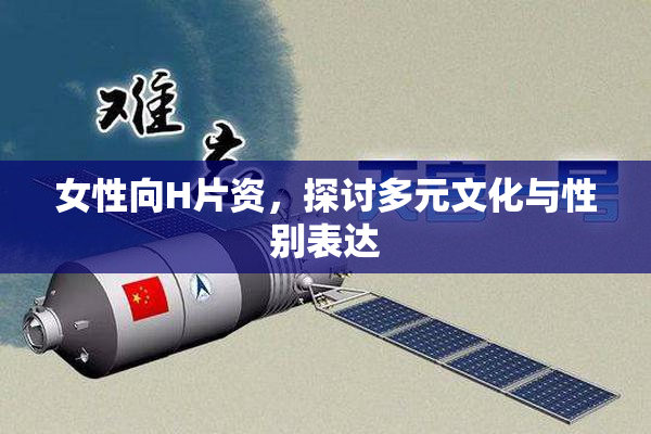 女性向H片资，探讨多元文化与性别表达