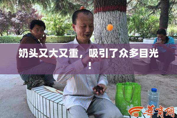 奶头又大又重，吸引了众多目光！