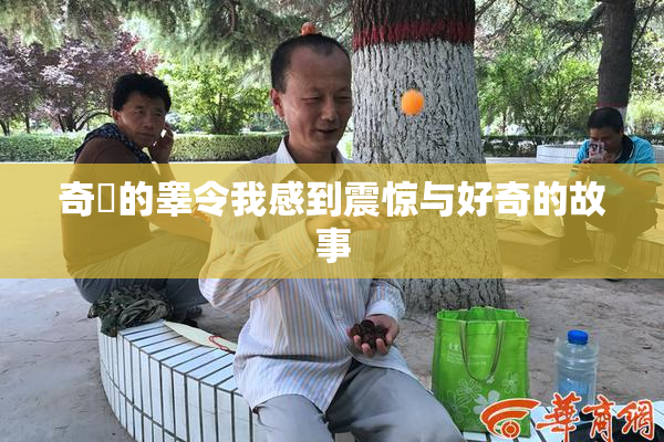 奇犽的睾令我感到震惊与好奇的故事