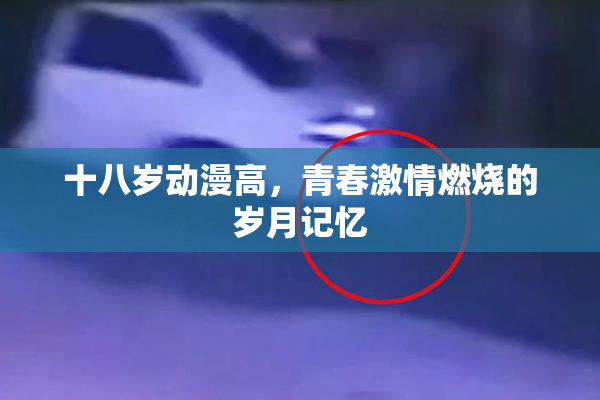 十八岁动漫高，青春激情燃烧的岁月记忆