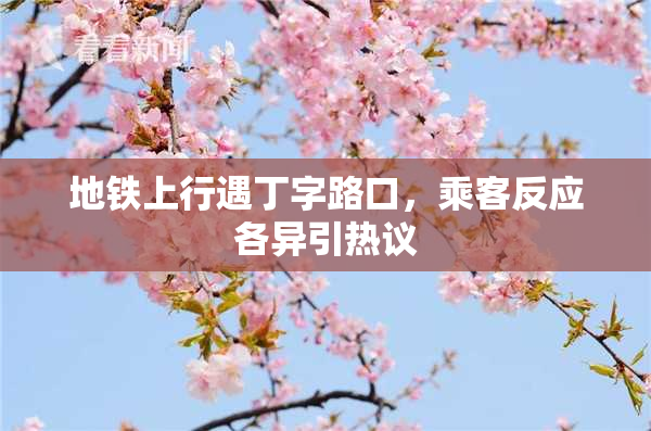 地铁上行遇丁字路口，乘客反应各异引热议