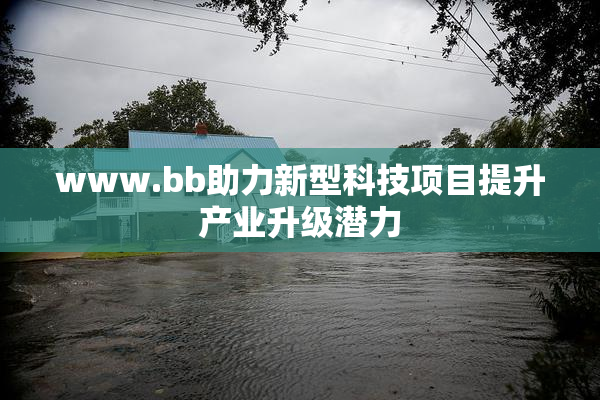www.bb助力新型科技项目提升产业升级潜力