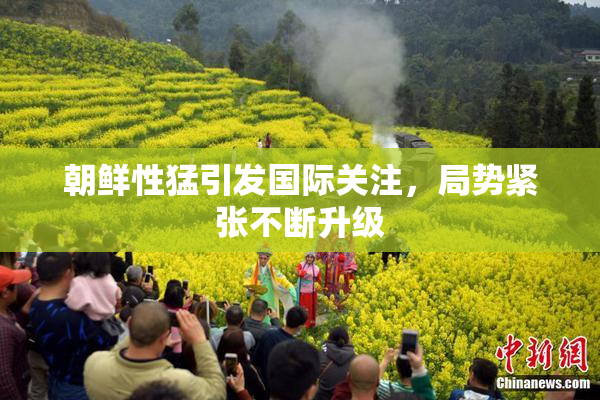 朝鲜性猛引发国际关注，局势紧张不断升级