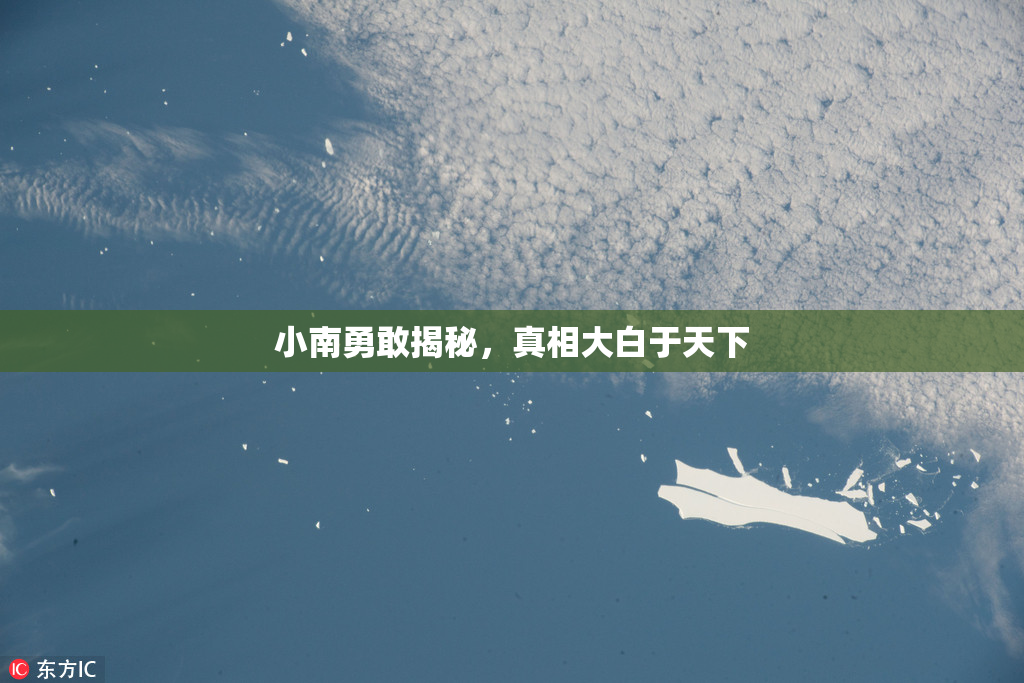 小南勇敢揭秘，真相大白于天下