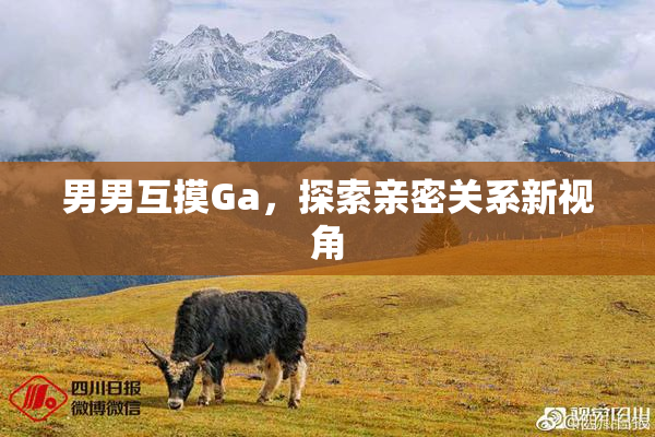 男男互摸Ga，探索亲密关系新视角