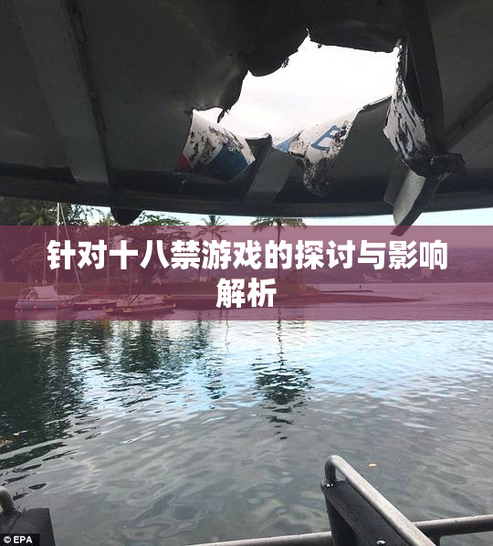 针对十八禁游戏的探讨与影响解析