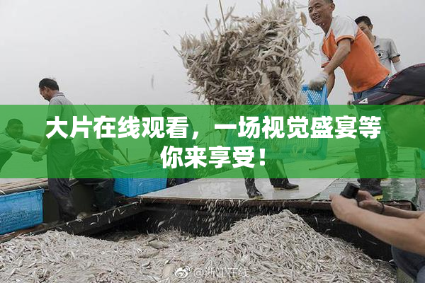 大片在线观看，一场视觉盛宴等你来享受！