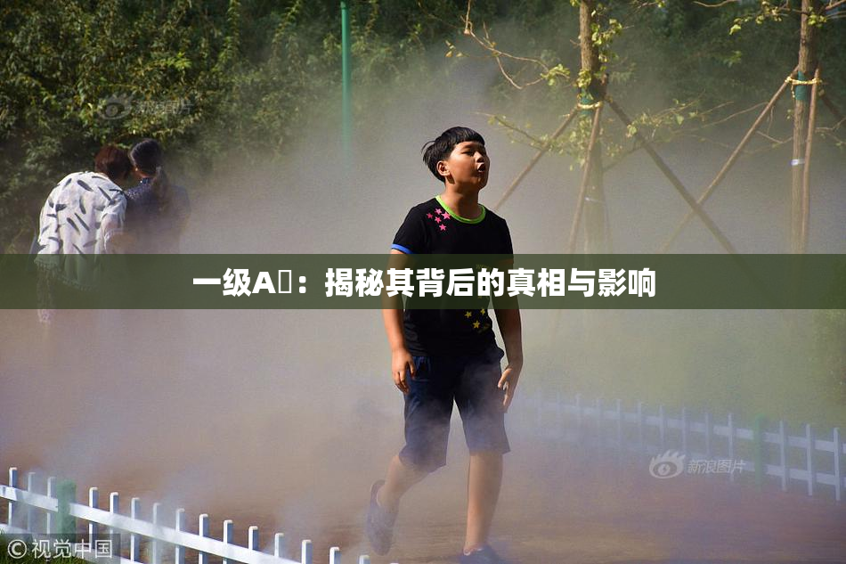 一级A婬：揭秘其背后的真相与影响
