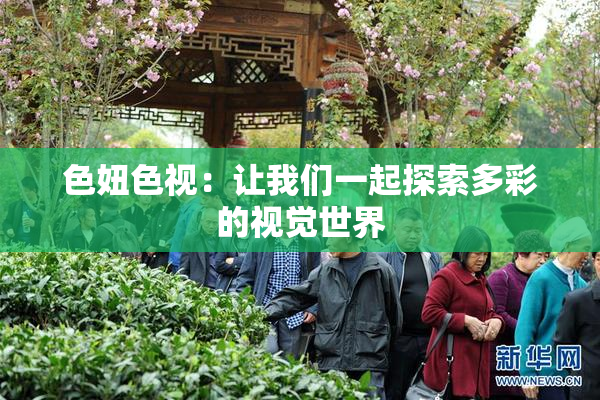 色妞色视：让我们一起探索多彩的视觉世界