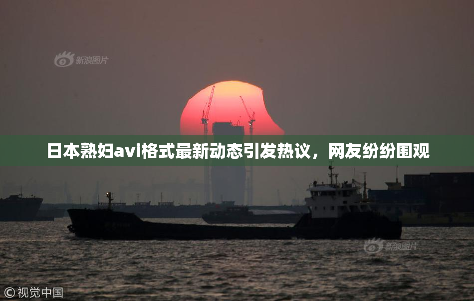 日本熟妇avi格式最新动态引发热议，网友纷纷围观