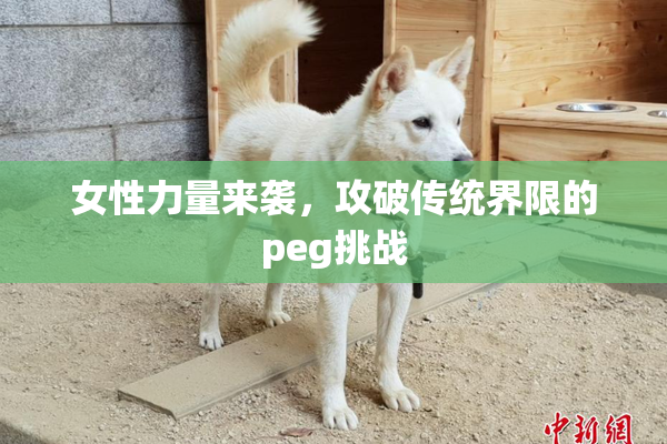 女性力量来袭，攻破传统界限的peg挑战