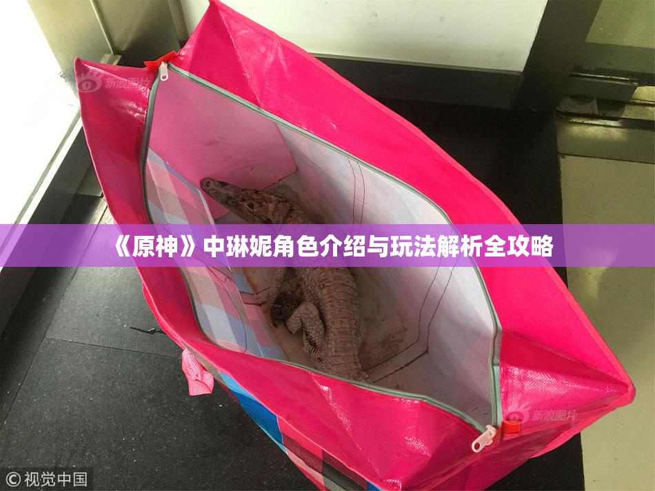 《原神》中琳妮角色介绍与玩法解析全攻略