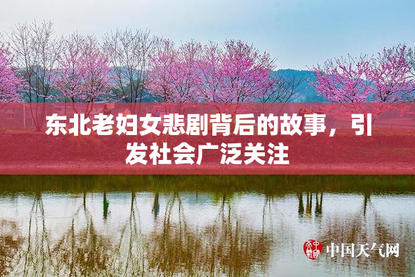 东北老妇女悲剧背后的故事，引发社会广泛关注
