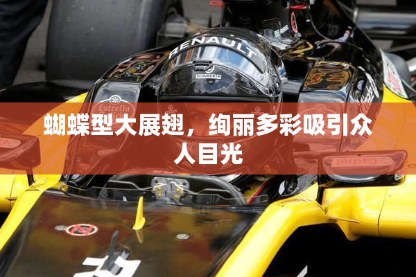 蝴蝶型大展翅，绚丽多彩吸引众人目光