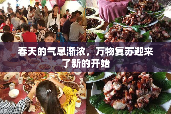 春天的气息渐浓，万物复苏迎来了新的开始