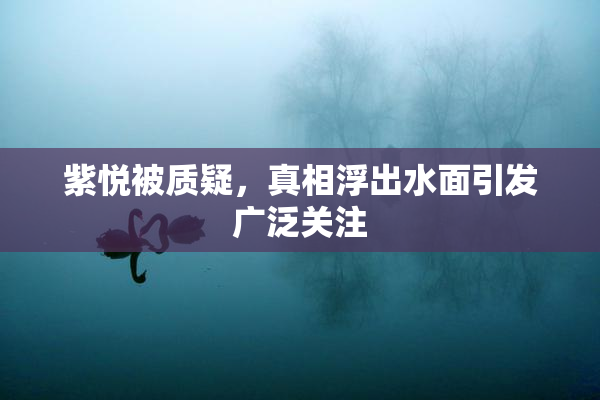 紫悦被质疑，真相浮出水面引发广泛关注