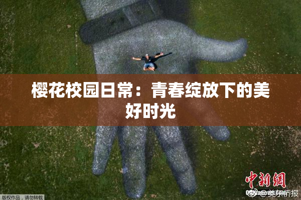 樱花校园日常：青春绽放下的美好时光