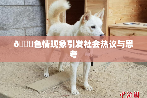 🔞色情现象引发社会热议与思考