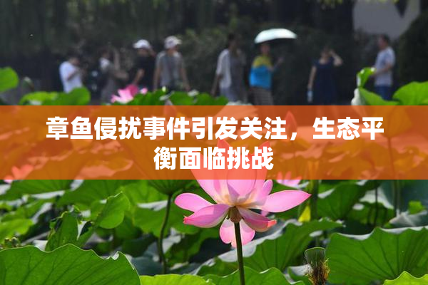 章鱼侵扰事件引发关注，生态平衡面临挑战