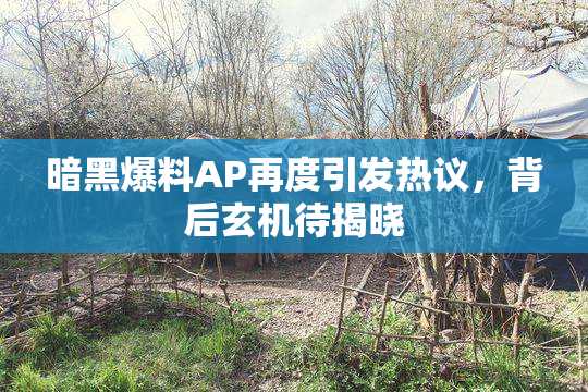 暗黑爆料AP再度引发热议，背后玄机待揭晓
