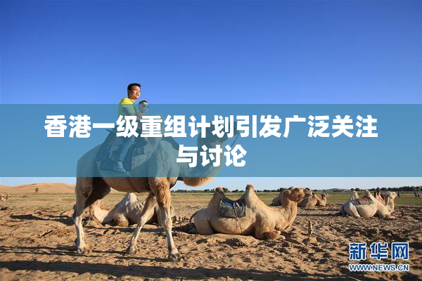 香港一级重组计划引发广泛关注与讨论