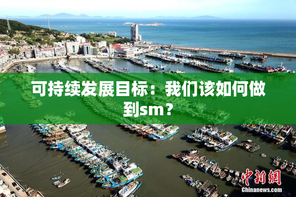 可持续发展目标：我们该如何做到sm？