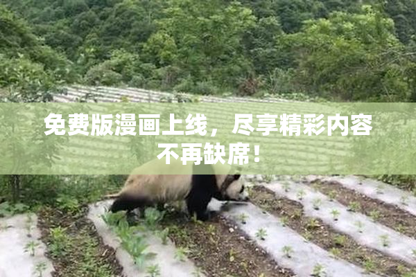 免费版漫画上线，尽享精彩内容不再缺席！