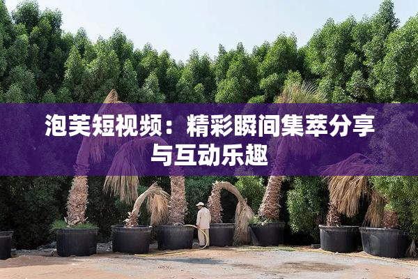 泡芙短视频：精彩瞬间集萃分享与互动乐趣