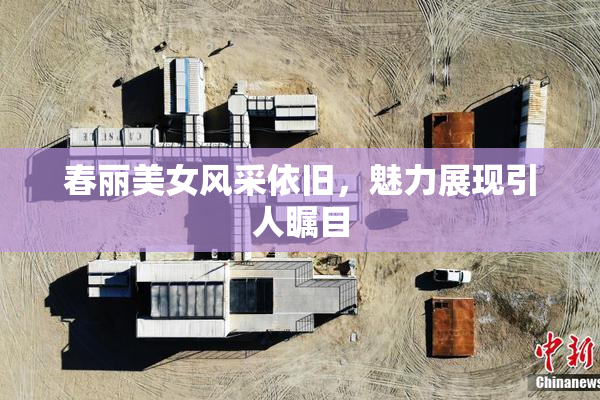 春丽美女风采依旧，魅力展现引人瞩目