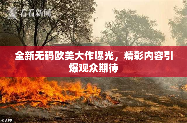 全新无码欧美大作曝光，精彩内容引爆观众期待