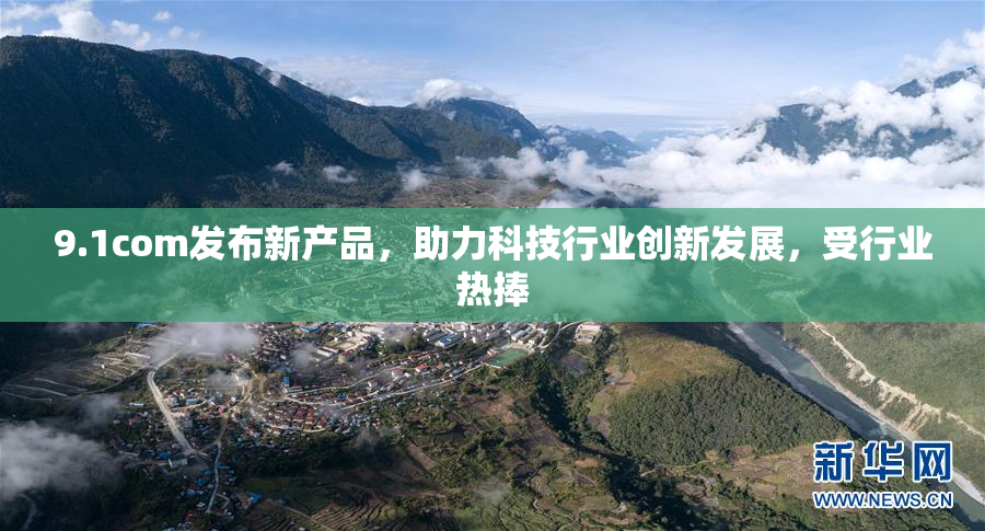 9.1com发布新产品，助力科技行业创新发展，受行业热捧